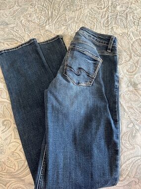 Silver Elyse Straight 27x33